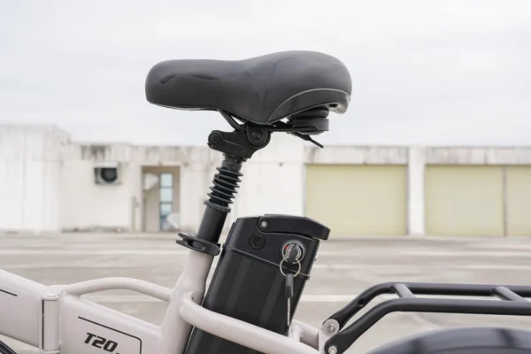 Bici Elettrica Speedy Q30 750W (non omologata) - immagine 8