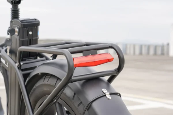 Bici Elettrica Speedy Q30 750W (non omologata) - immagine 5