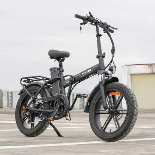 Bici Elettrica Speedy Q30 750W (non omologata)