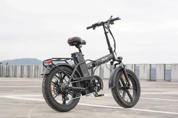 Bici Elettrica Speedy Q30 750W (non omologata) - immagine 2